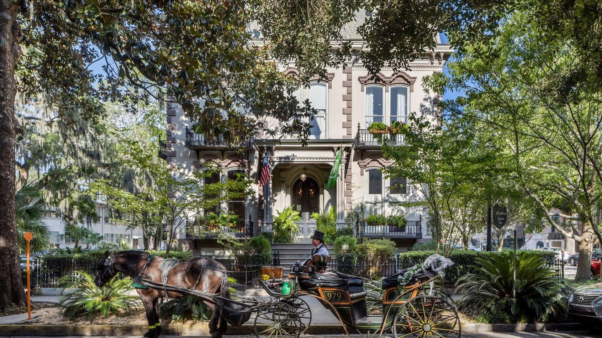 Hamilton Turner 4* Savannah