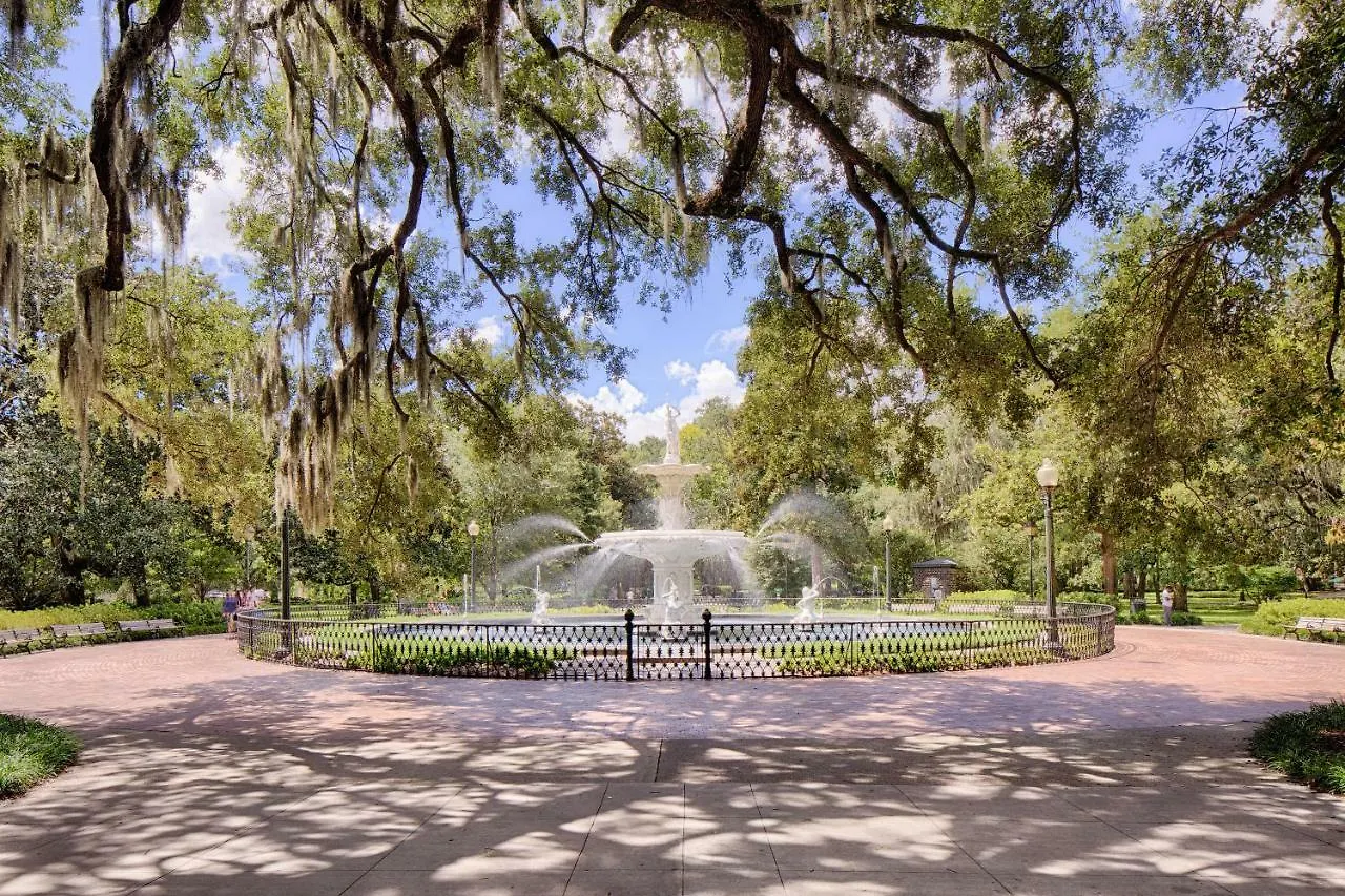 Sunny Savannah